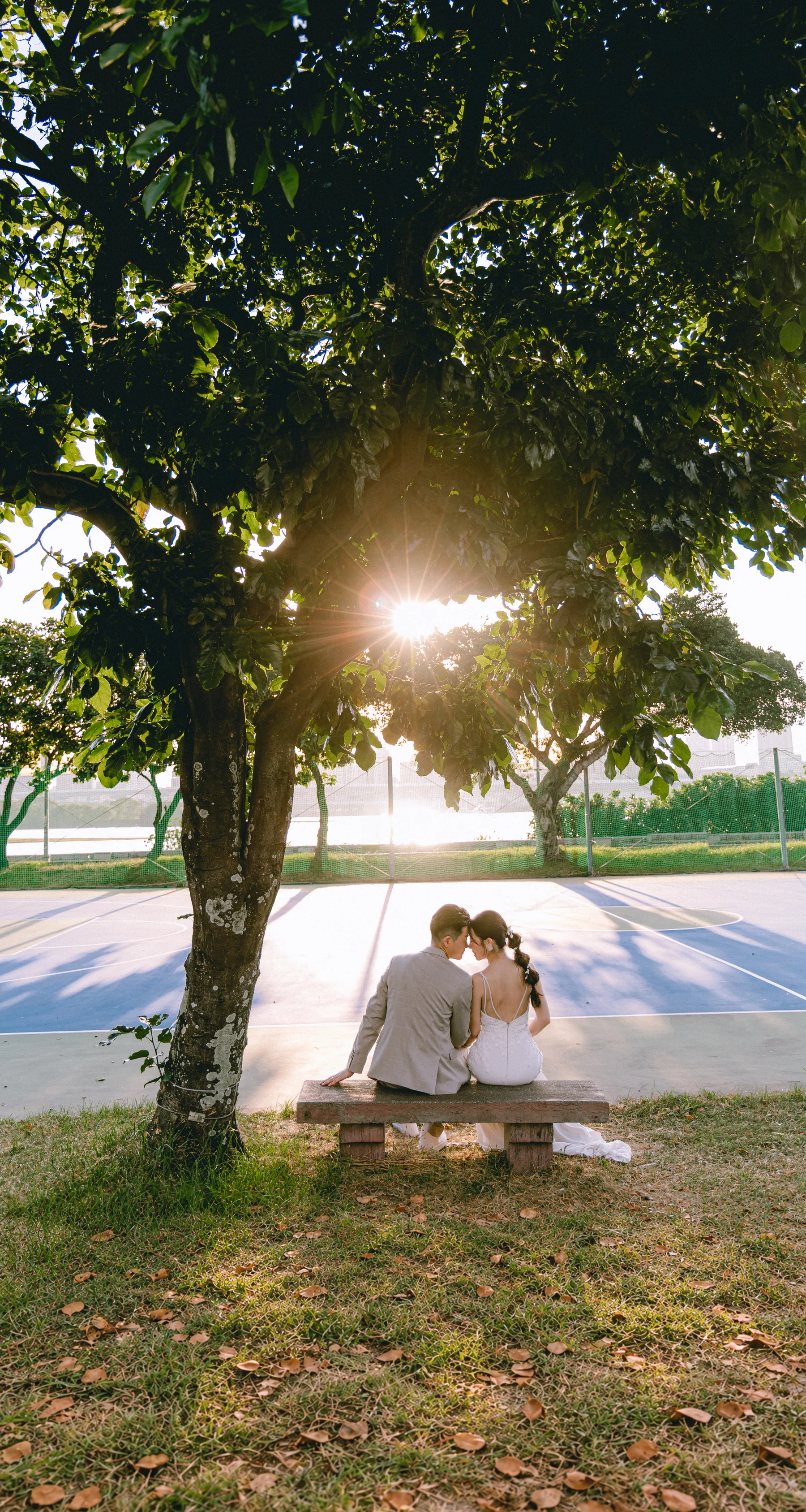 David 與 Cheryl 相依坐在樹下長椅，陽光穿過樹葉，前景為草地